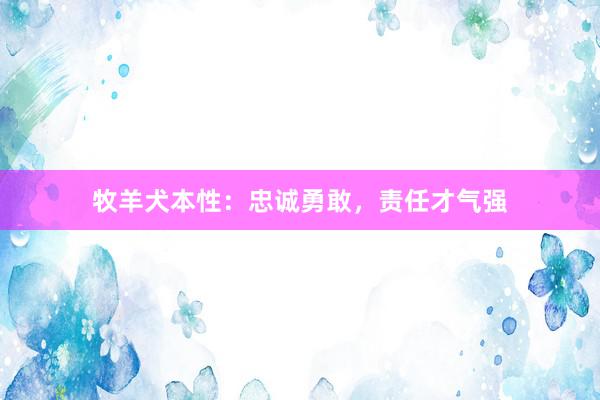 牧羊犬本性：忠诚勇敢，责任才气强