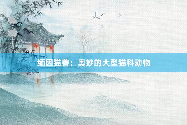 缅因猫兽：奥妙的大型猫科动物