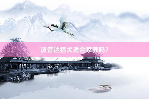 波音达猎犬适合家养吗？